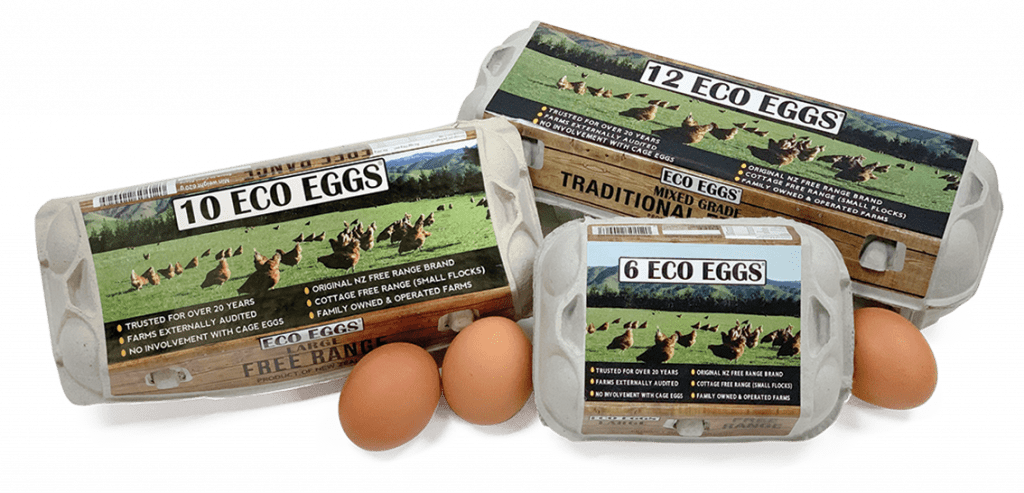 ECO eggs_group shot